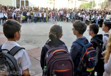 Învățătoarea Mara Luana Rauca, despre viziunea MEN: ”Ni se flutură sub nas o adevărată utopie a ceea ce se dorește a fi noua educație”
