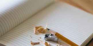 EVALUAREA NAȚIONALĂ 2019, clasa a VIII-a. Modele de subiecte la Limba și Literatura Română