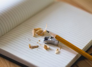 EVALUAREA NAȚIONALĂ 2019, clasa a VIII-a. Modele de subiecte la Limba și Literatura Română