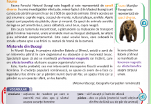 Ministrul Educației, despre manualul de Română de clasa IV-a cu Munții Bucegi: ”Trebuie să iasă din circuit”