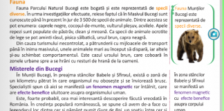 Ministrul Educației, despre manualul de Română de clasa IV-a cu Munții Bucegi: ”Trebuie să iasă din circuit”