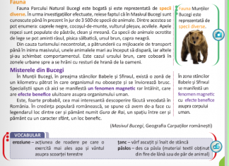 Ministrul Educației, despre manualul de Română de clasa IV-a cu Munții Bucegi: ”Trebuie să iasă din circuit”