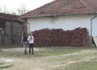 Școli cu toaleta în curte: Peste 2.300 de unități școlare nu au apă curentă și canalizare