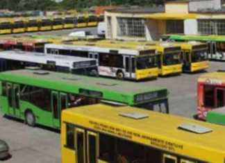 Plângere penală împotriva CJ Constanța, dacă nu reduce tarifele la transport pentru elevi