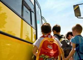 Transportul public școlar, introdus la Timișoara pentru elevii din patru cartiere