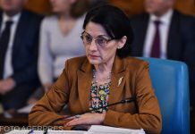 Ecaterina Andronescu, chemată la audieri în Comisia pentru drepturile omului