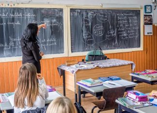 Proiect de ordin. Directorii de școli și profesorii, în concediu de odihnă pe perioada vacanțelor școlare