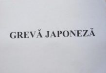 Grevă japoneză în școlile din Timiș. Profesorii, nemulțumiți de reducerea orelor de sport