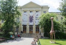 Muzeul Antipa anunţă revenirea din 15 iunie la programul normal de vizitare, de marţi până duminică