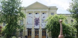 Proiectul ”5 licee – 5 muzee”: 250 de liceeni din București vor merge gratuit la muzeu