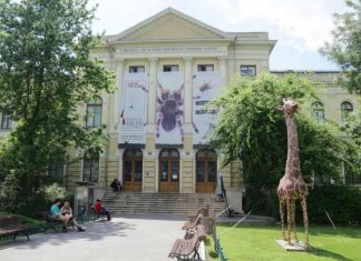 Proiectul ”5 licee – 5 muzee”: 250 de liceeni din București vor merge gratuit la muzeu