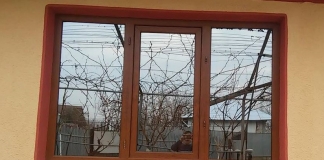 Micuții fotografi și o temă altfel: Copiii au scotocit peste tot pentru a surprinde în imagini ”lecția” de a doua zi