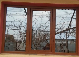 Micuții fotografi și o temă altfel: Copiii au scotocit peste tot pentru a surprinde în imagini ”lecția” de a doua zi