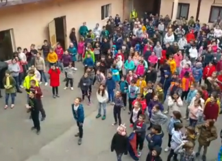 Din clase și școli adunate… Cum au sărbătorit copiii și profesorii Ziua fericirii