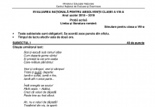 Eroare în subiectele la Română de la Simularea Evaluării Naționale. Poezie, atribuită greșit lui Șt. O. Iosif