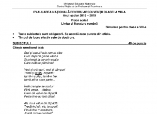 Eroare în subiectele la Română de la Simularea Evaluării Naționale. Poezie, atribuită greșit lui Șt. O. Iosif