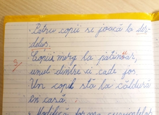 Explicațiile învățătorului din Iași: ”În notarea temei, am ținut cont de faptul că elevul nu a respectat cerințele enunțului”