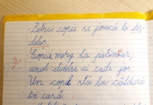 Învățătorul din Iași care a corectat cuvântul ”patinoar” cu ”patinuar” și-a recunoscut greșeala. Ce sancțiune va primi