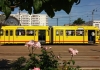 Elevii de la Șincai îi invită pe bucureșteni într-o călătorie ”plină de poezie” cu tramvaiul galben de epocă