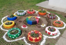 Un colț de rai, creat de elevi într-un sat din Tulcea. Învățătoarea: ”Copiii iubesc culoarea. După ce am terminat, le străluceau ochii”