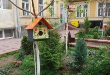 Școli colorate. Un loc plin de verdeață, împodobit cu căsuțe colorate FOTO