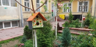 Școli colorate. Un loc plin de verdeață, împodobit cu căsuțe colorate FOTO