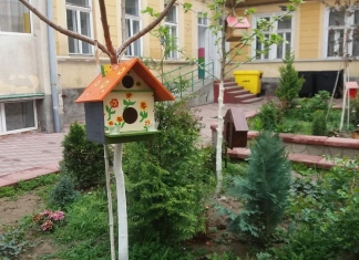 Școli colorate. Un loc plin de verdeață, împodobit cu căsuțe colorate FOTO