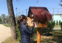 Mini-biblioteci în aer liber. Căsuțe cu cărți, amenajate într-un parc din Cluj-Napoca pentru iubitorii de lectură