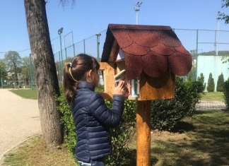 Mini-biblioteci în aer liber. Căsuțe cu cărți, amenajate într-un parc din Cluj-Napoca pentru iubitorii de lectură