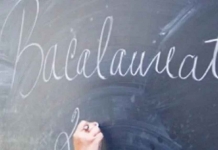 Teste de antrenament pentru examenul de Bacalaureat 2020. Cele 8 seturi, publicate de Ministerul Educației