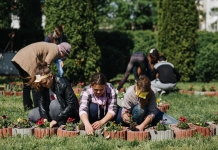 #eusuntdeIMPACT. Elevii sărbătoresc altfel ziua de 1 iunie: Acțiuni de ecologizare și amenajarea spațiilor din exteriorul școlilor
