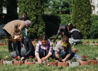 #eusuntdeIMPACT. Elevii sărbătoresc altfel ziua de 1 iunie: Acțiuni de ecologizare și amenajarea spațiilor din exteriorul școlilor
