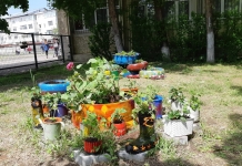 Cel mai frumos spațiu verde: O provocare pentru elevii și profesorii din Focșani. Ce au reușit să facă în grădina școlii