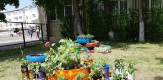 Cel mai frumos spațiu verde: O provocare pentru elevii și profesorii din Focșani. Ce au reușit să facă în grădina școlii