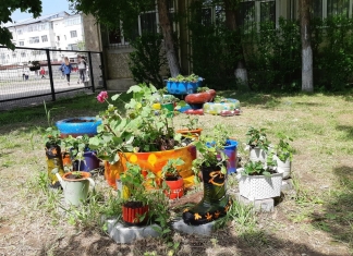 Cel mai frumos spațiu verde: O provocare pentru elevii și profesorii din Focșani. Ce au reușit să facă în grădina școlii