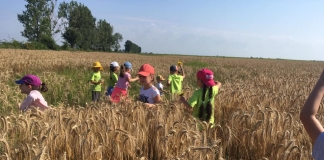 Joc și explorare, într-o zi de vacanță: ”Învățarea se produce și în afara școlii, dacă se face într-un context de rost și bucurie”