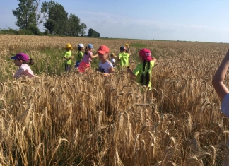 Joc și explorare, într-o zi de vacanță: ”Învățarea se produce și în afara școlii, dacă se face într-un context de rost și bucurie”