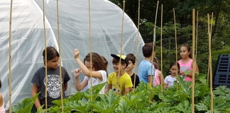 Școala din Ploiești, cu grădină de legume și clasă în aer liber. Elevii mai mari au început un proiect amplu de schimbare a spațiilor FOTO