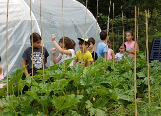 Școala din Ploiești, cu grădină de legume și clasă în aer liber. Elevii mai mari au început un proiect amplu de schimbare a spațiilor FOTO