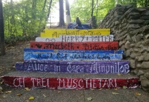 Biblioteca din parc. Trepte cu titluri de carte, pictate de un grup de tineri din Câmpulung: ”Este o propunere de lectură, de meditație…” FOTO