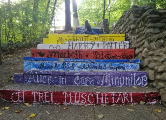 Biblioteca din parc. Trepte cu titluri de carte, pictate de un grup de tineri din Câmpulung: ”Este o propunere de lectură, de meditație…” FOTO