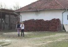 Suceava: Doar șapte școli din cele 29 cu WC în curte au optat pentru toalete tip container. Primarii preferă construcțiile tradiționale