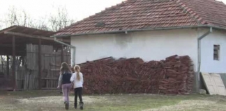 Suceava: Doar șapte școli din cele 29 cu WC în curte au optat pentru toalete tip container. Primarii preferă construcțiile tradiționale