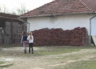 Suceava: Doar șapte școli din cele 29 cu WC în curte au optat pentru toalete tip container. Primarii preferă construcțiile tradiționale