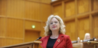 Camelia Gavrilă, propusă ministru la Educație. Interimatul lui Daniel Breaz expiră pe 18 septembrie