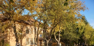 Toată școala citește în grădină, la Rășinari. Pentru o zi, pauza de lectură se va muta în tramvai: ”Copiii sunt foarte încântați” FOTO