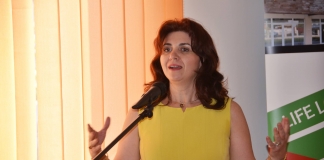 Numele vehiculat pentru postul de ministru al Educației: Monica Anisie, profesoară la Vianu și fost secretar de stat în MEN