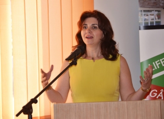 Numele vehiculat pentru postul de ministru al Educației: Monica Anisie, profesoară la Vianu și fost secretar de stat în MEN