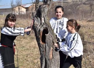 Elevii din Ruși au pornit o mică afacere la școală. ”A început lumea să ne cunoască… Este un sentiment frumos”, spun copiii FOTO