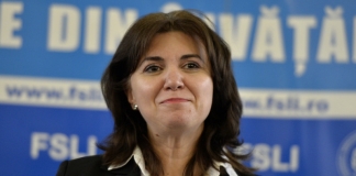 Raportul comisiei ”de tăiat hârtii”, finalizat până în ianuarie. Monica Anisie: ”Sper ca rezultatul să vină destul de repede”